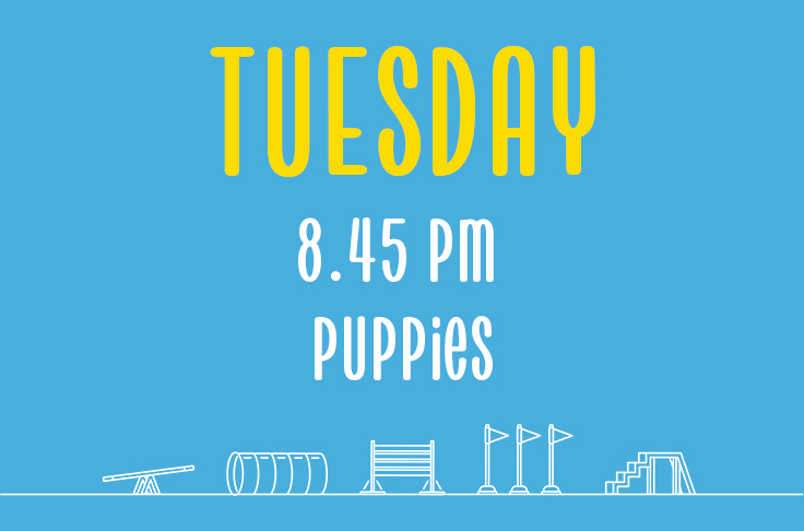 You are currently viewing Tuesday<br> 8.45pm<br> Puppies <br> Laura