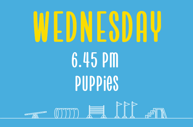 You are currently viewing Wednesday<br> 6.45pm<br> Puppies <br> Laura